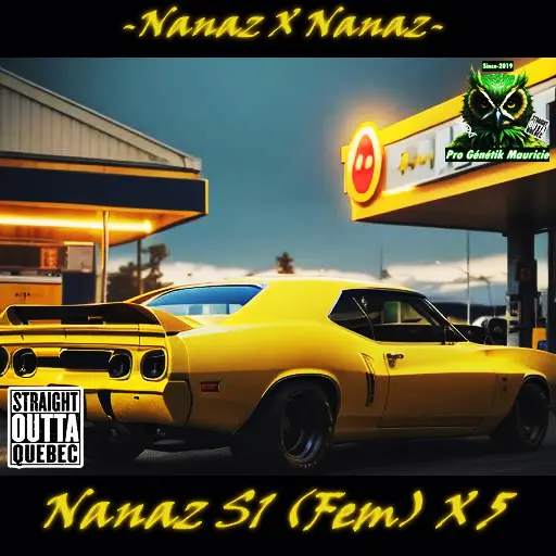 Atocollant # Nanaz S1 nouvelle variété 2024 pro génétik Mauricie.webp
