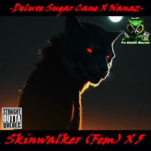 Autocollant #1 final choice Last Finale Skinwalker new strain feminisées 2024.webp