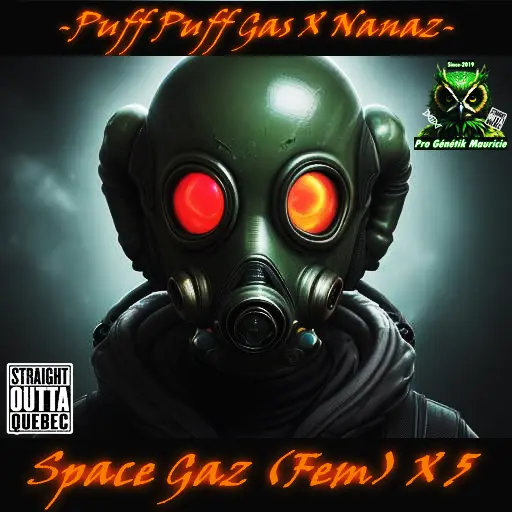 Autocollant #1 finale Space Gaz #1 nouvelle genetique 2024 - Copie.webp