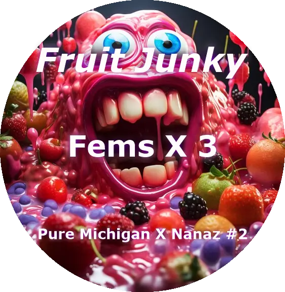 Fruit Junky Feminized (3)