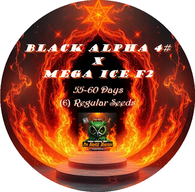 TESTER* Regular (6) Black Alpha 4#  X  Mega Ice F2