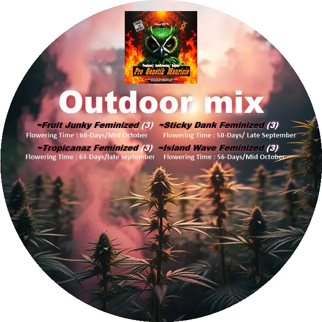 OUTDOOR MIX FEMINIZED (12)