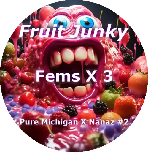 Fruit Junky Feminized (3)