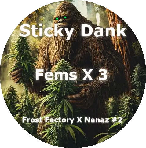 Sticky Dank Feminized (3)
