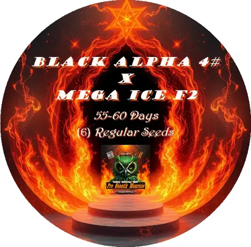 TESTER* Regular (6) Black Alpha 4#  X  Mega Ice F2