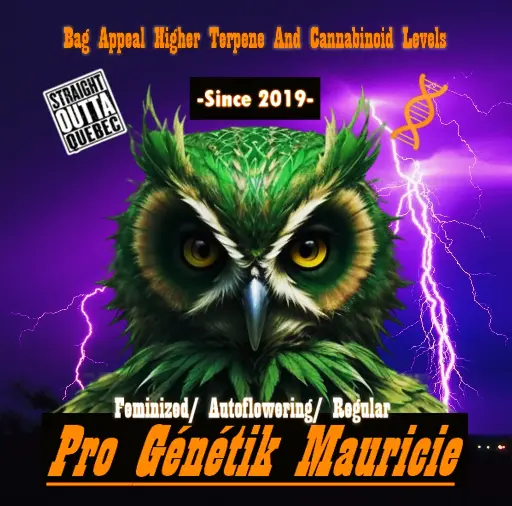 1-year pass / subscription to test Pro Génétik Mauricie products