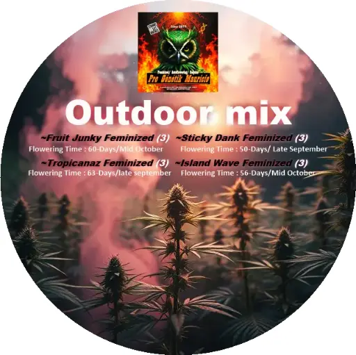 OUTDOOR MIX FEMINIZED (12)