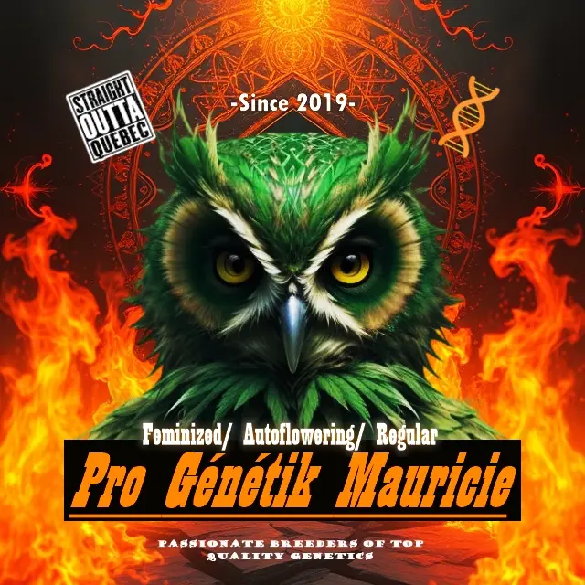 progenetikmauricie